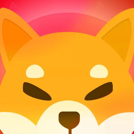 Команда Shiba Inu запустить ДАО – ForkLog UA